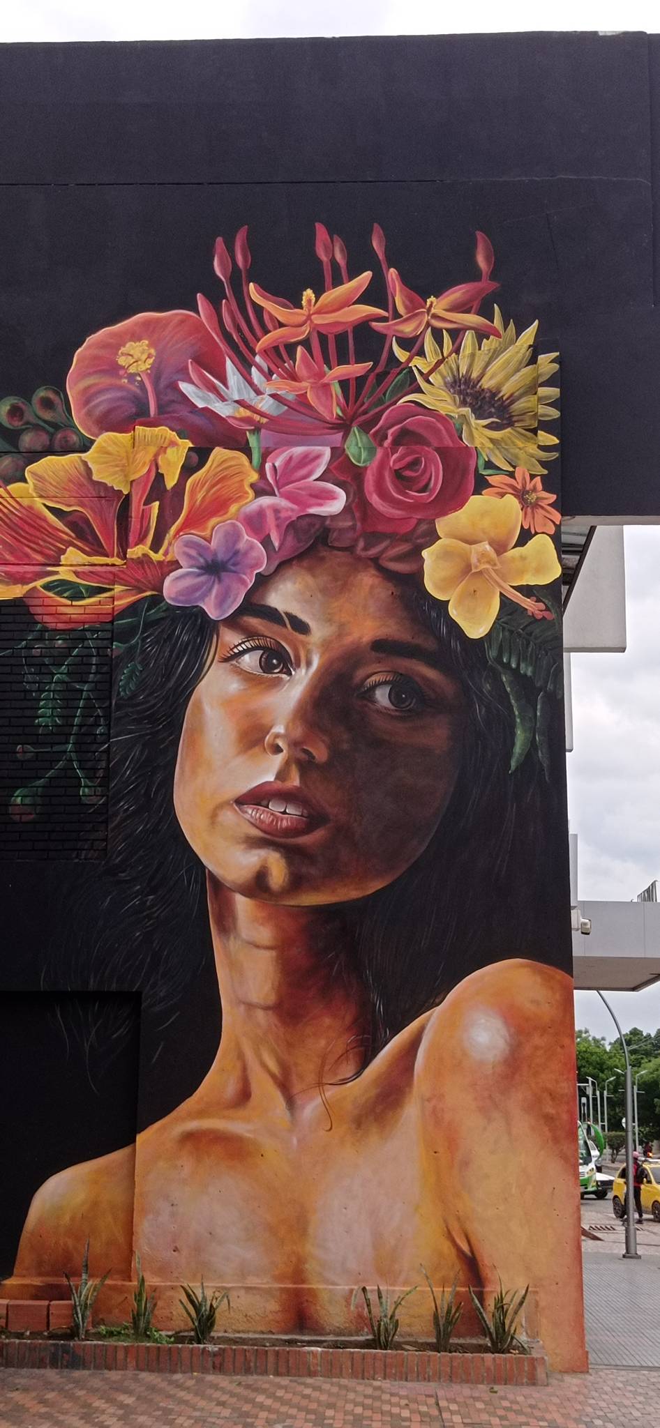 Esquema Colectivo, Vicdarina, Táriba, Darwin Mazo (Dama)&mdash;Ixora y Flores