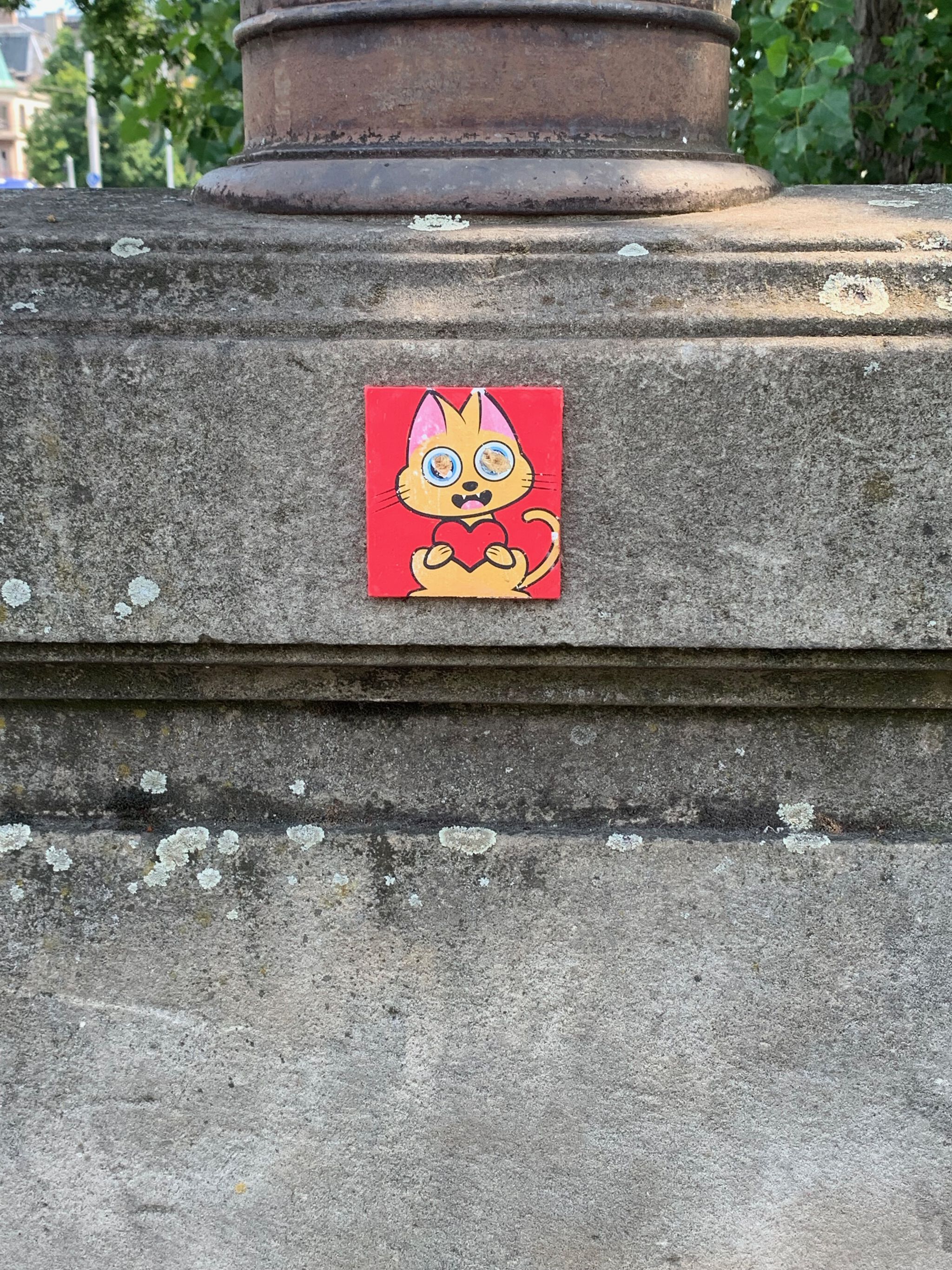 supacat&mdash;Cat
