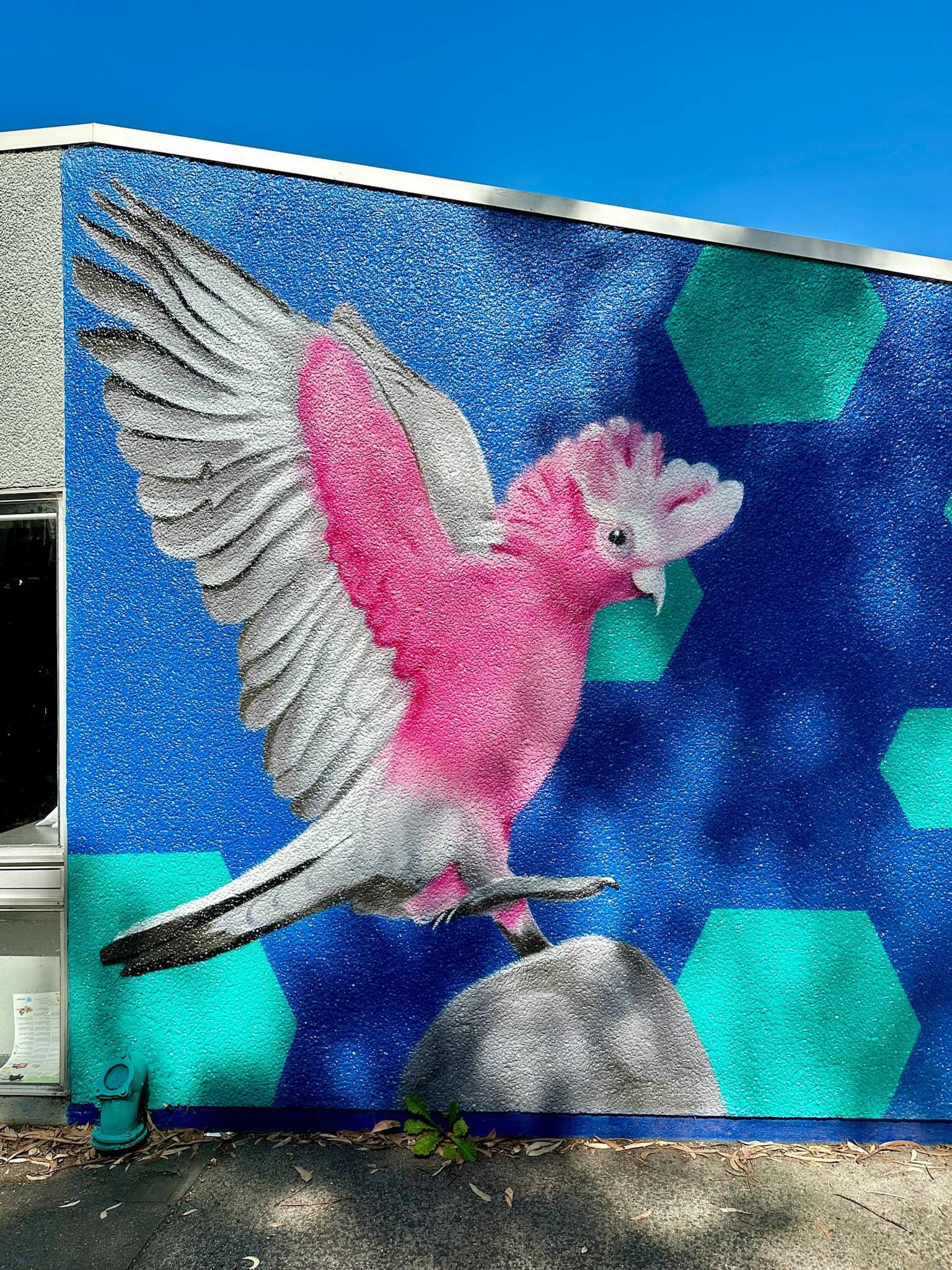 Tara Cull&mdash;Marlborough Primary School Mural