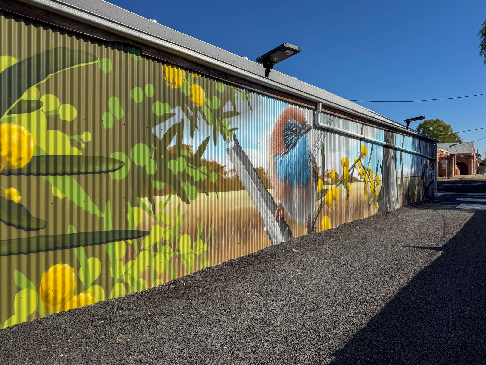 Smug&mdash;Mallee Emu Wren Mural