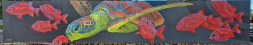 Tortue et poissons rouges
