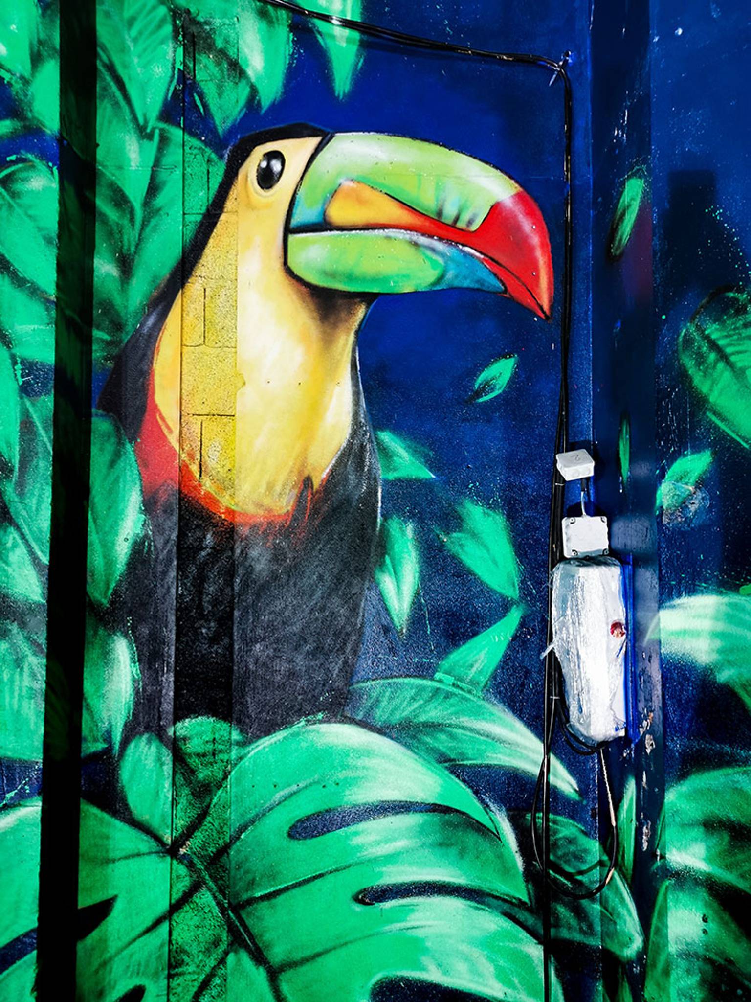 Istraille&mdash;Zoo Art show