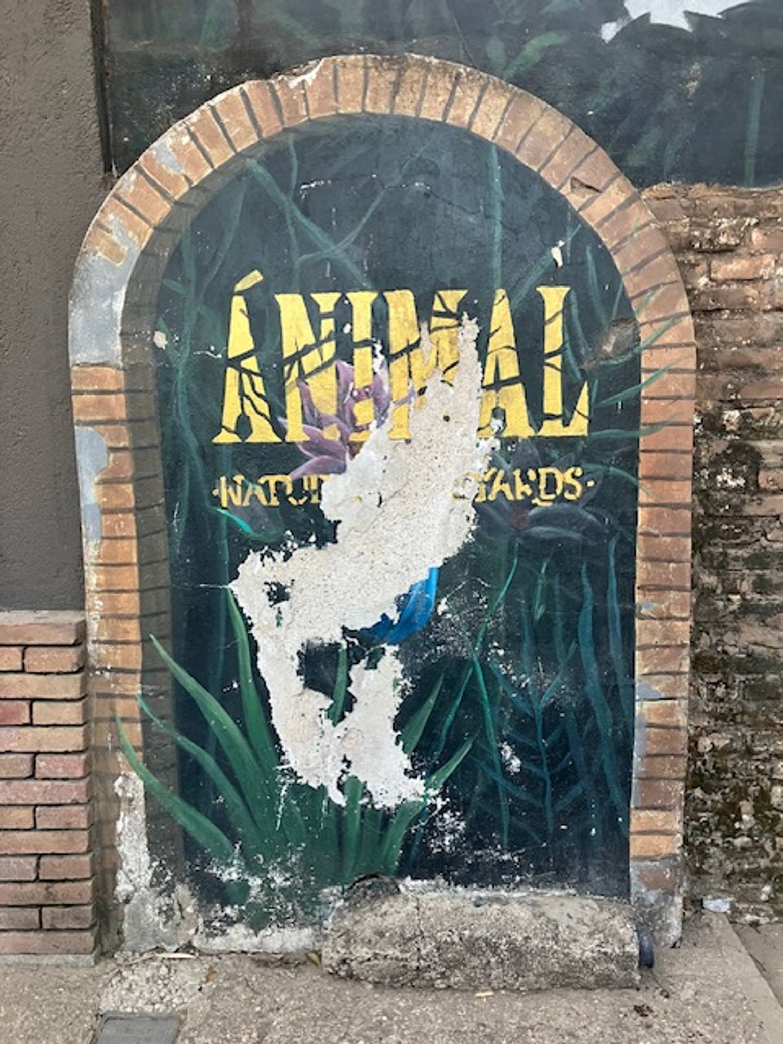 Leonardo Aguaisol&mdash;Animal