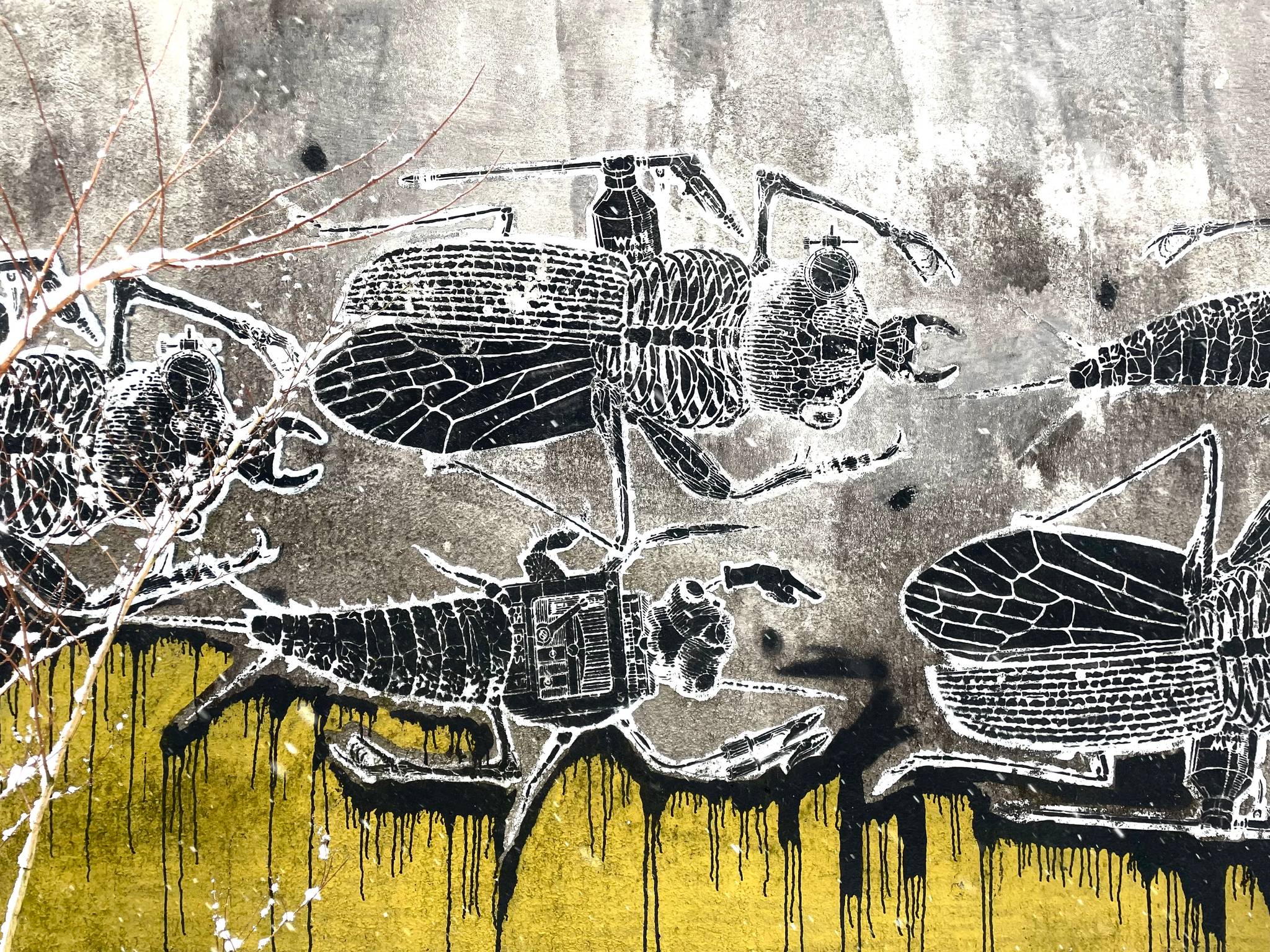 Monstfur Cru, Franek Mysza, Szwedzkiart&mdash;undefined