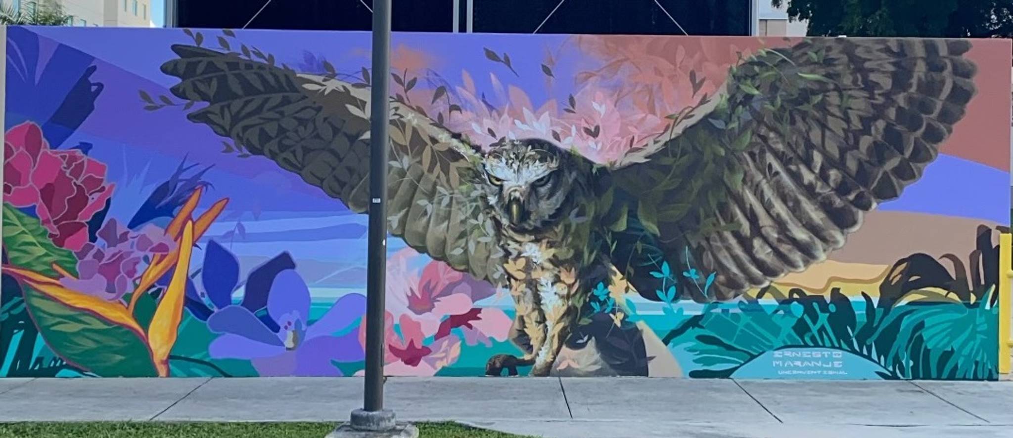 Ernesto Maranje&mdash;"Owl"