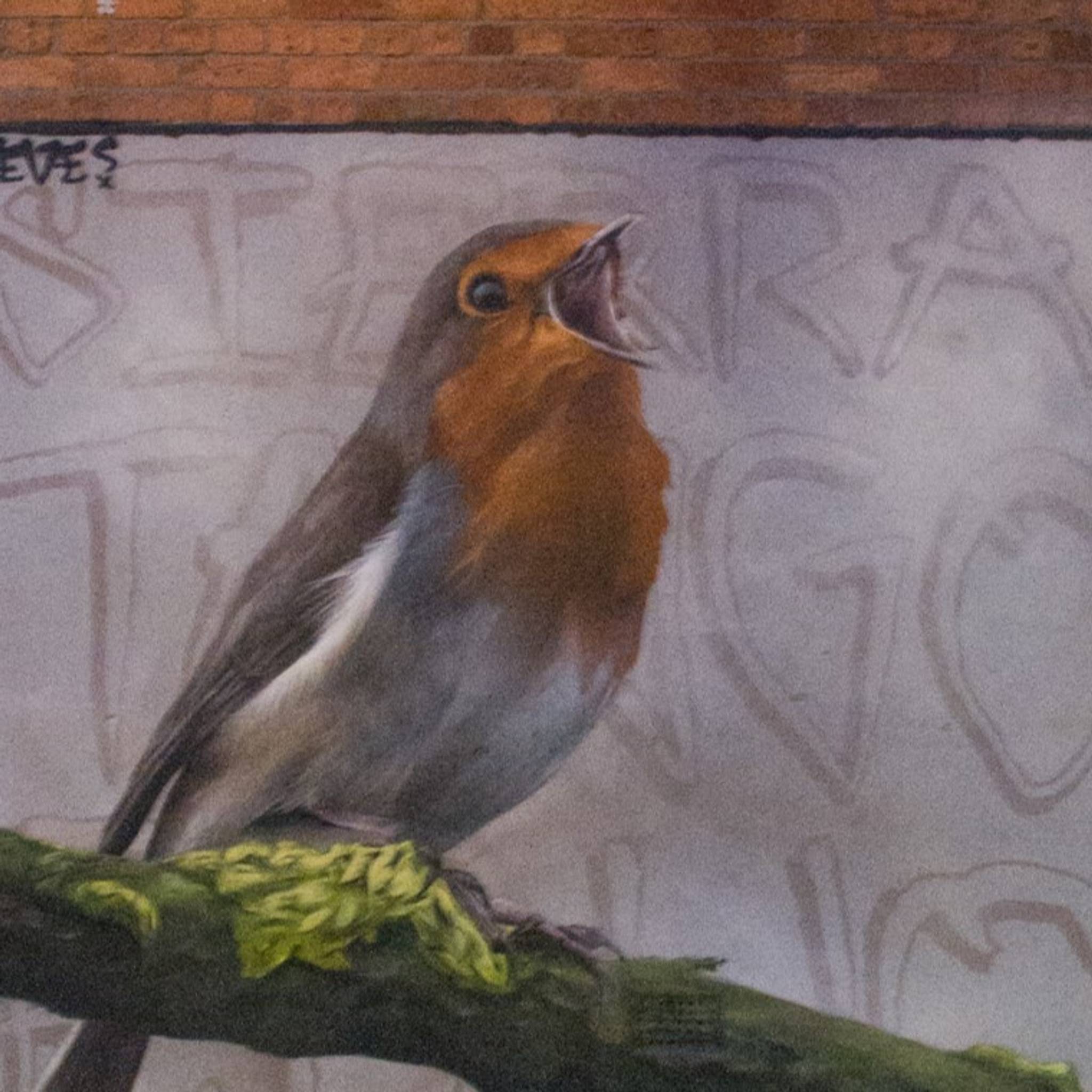 Ste&mdash;Robin