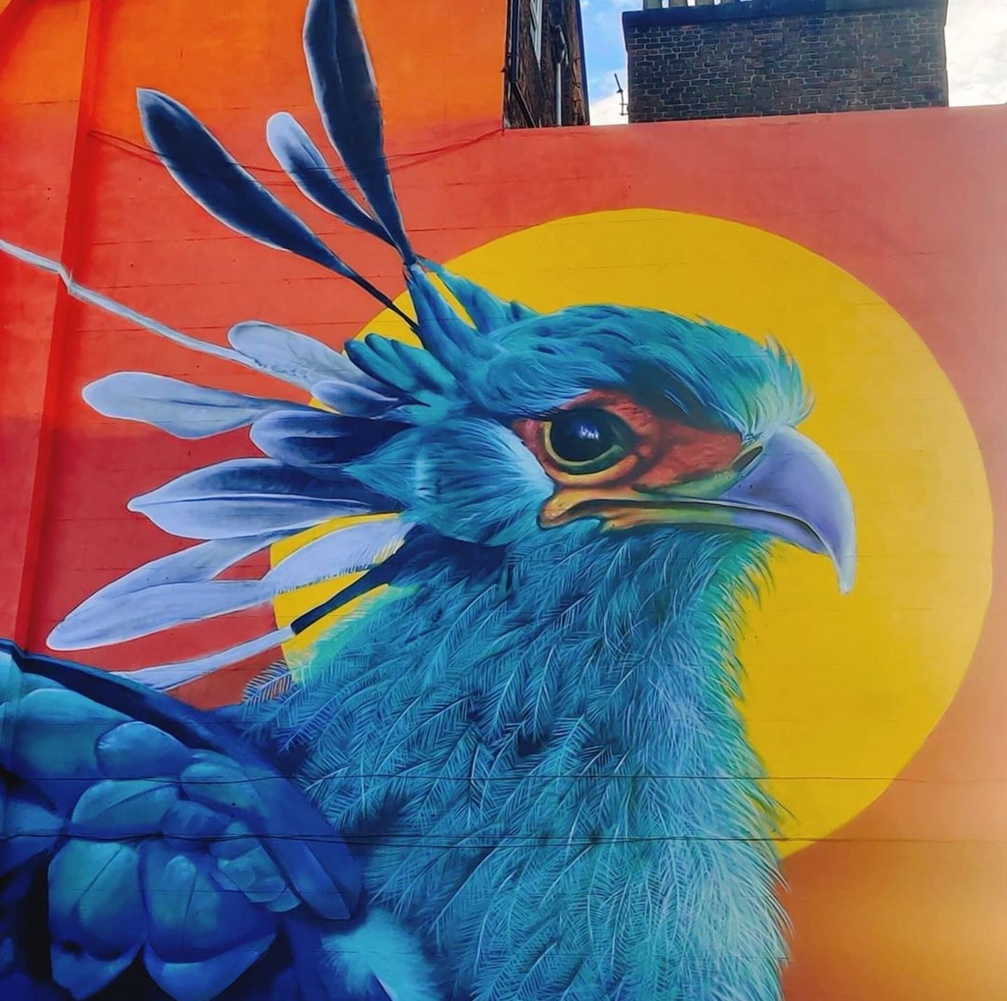 John culshaw&mdash;Liver Bird