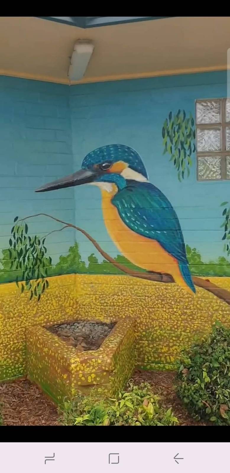 Tank Art&mdash;CR Wood Park Amenities Block Birds