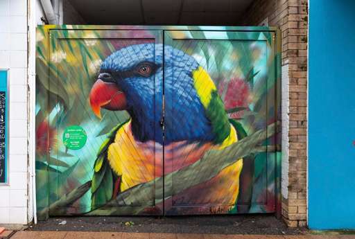 Rainbow Lorikeet