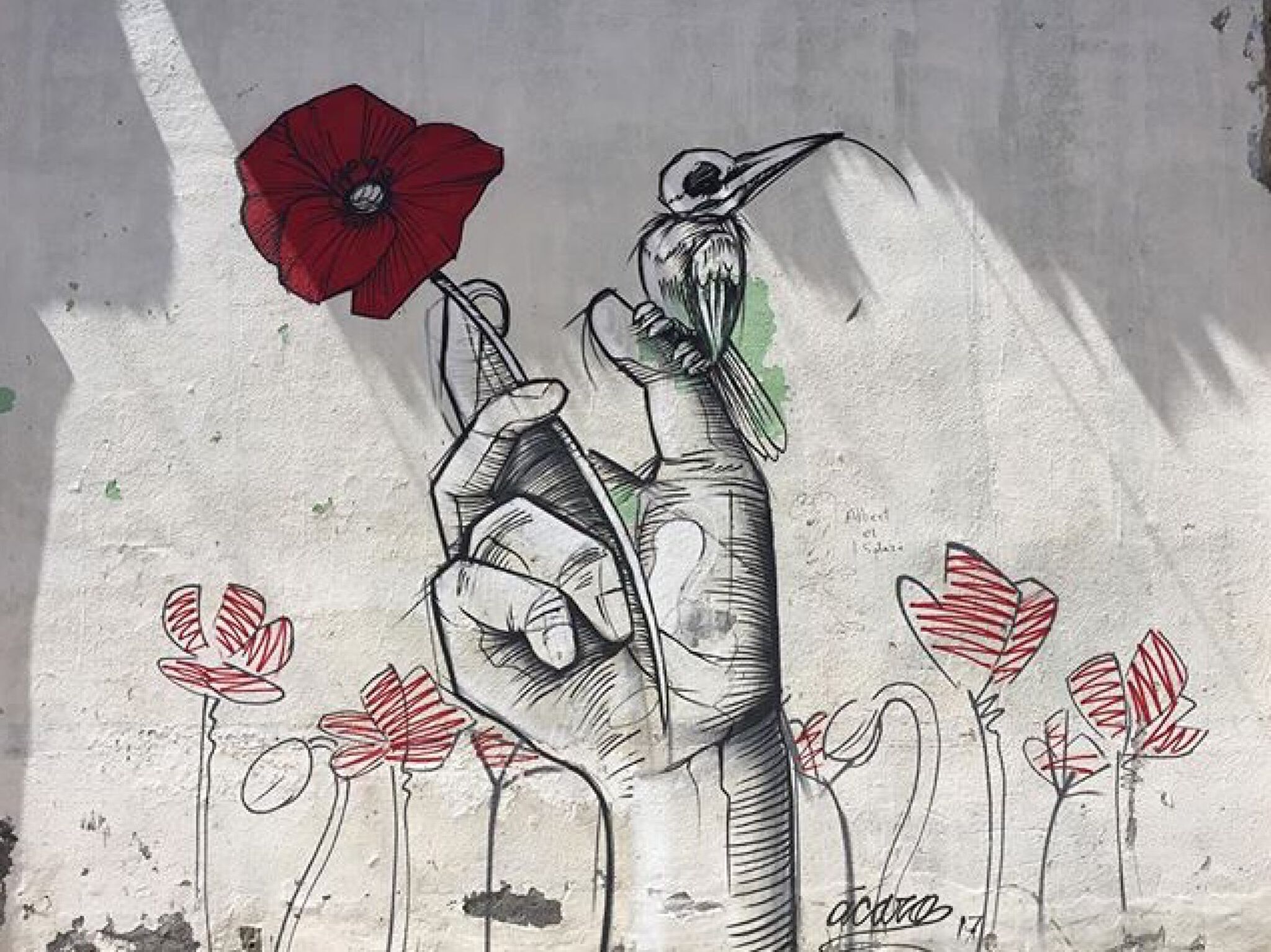 Ácaro&mdash;Amapola