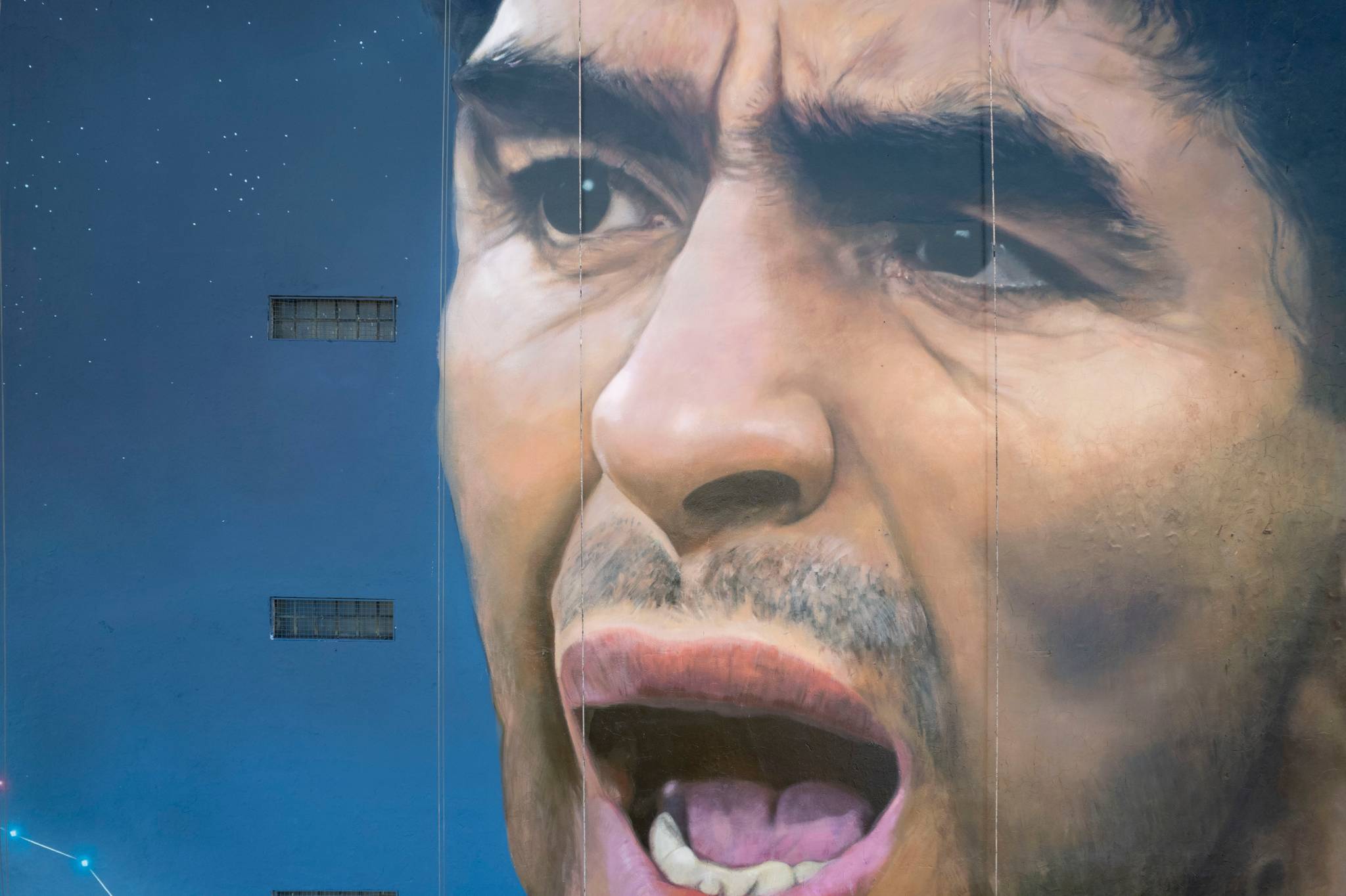 Martin Ron&mdash;Maradonna