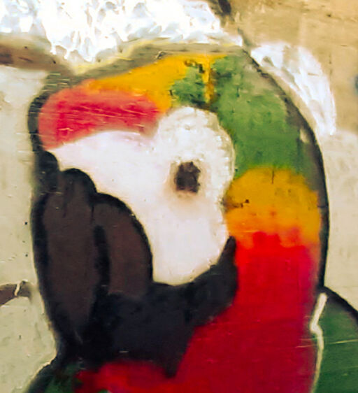 Parrot