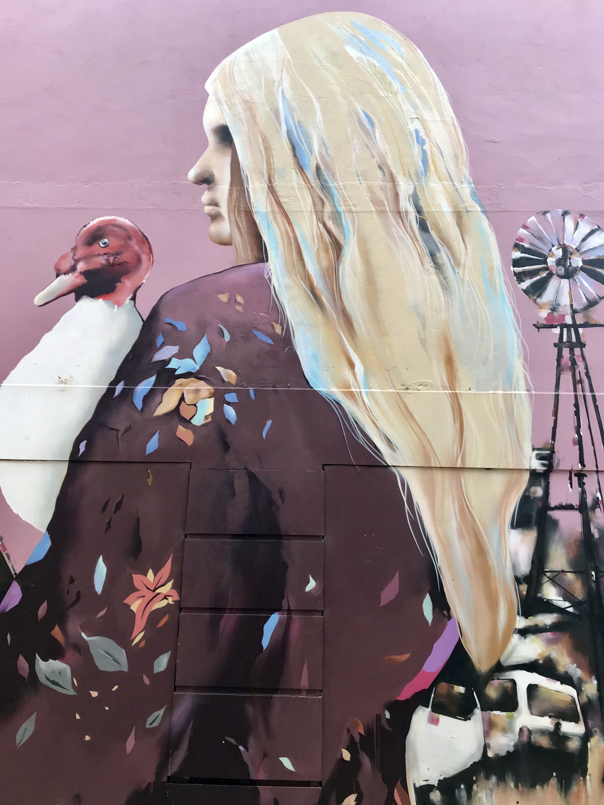 Tayla Carlaw, Tarns One&mdash;Country Out Of The Girl