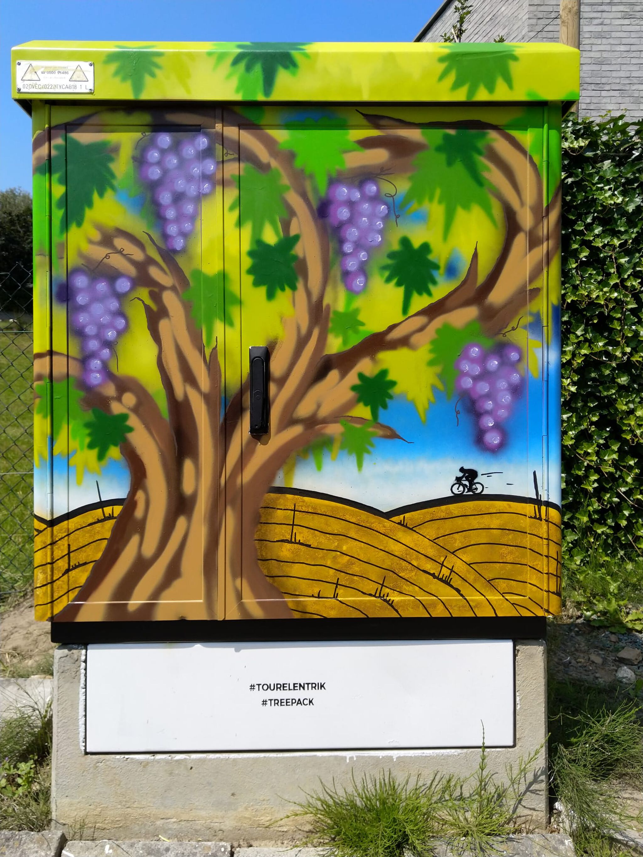 nupstr&mdash;Tour Elentrik - Druivenlandschap