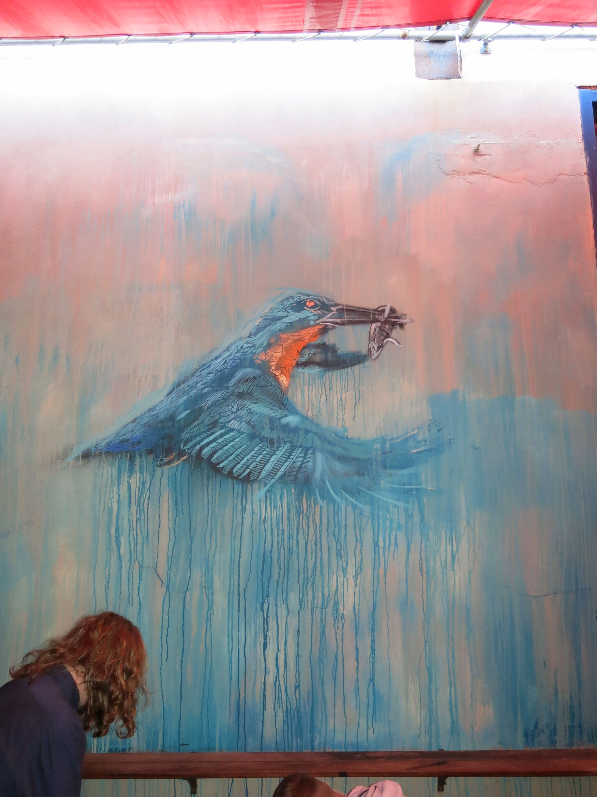 M one&mdash;Kingfisher