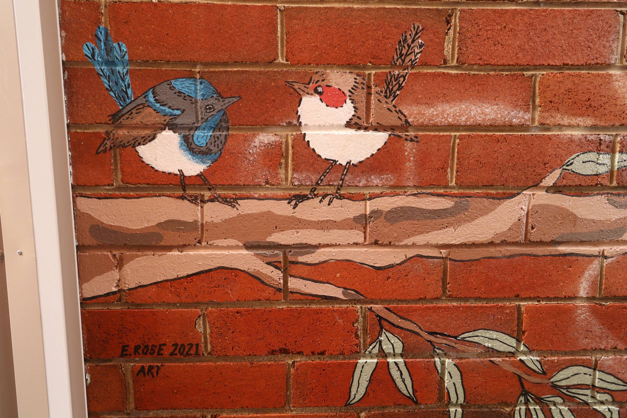 E.Rose Art&mdash;Little Fairy Wrens