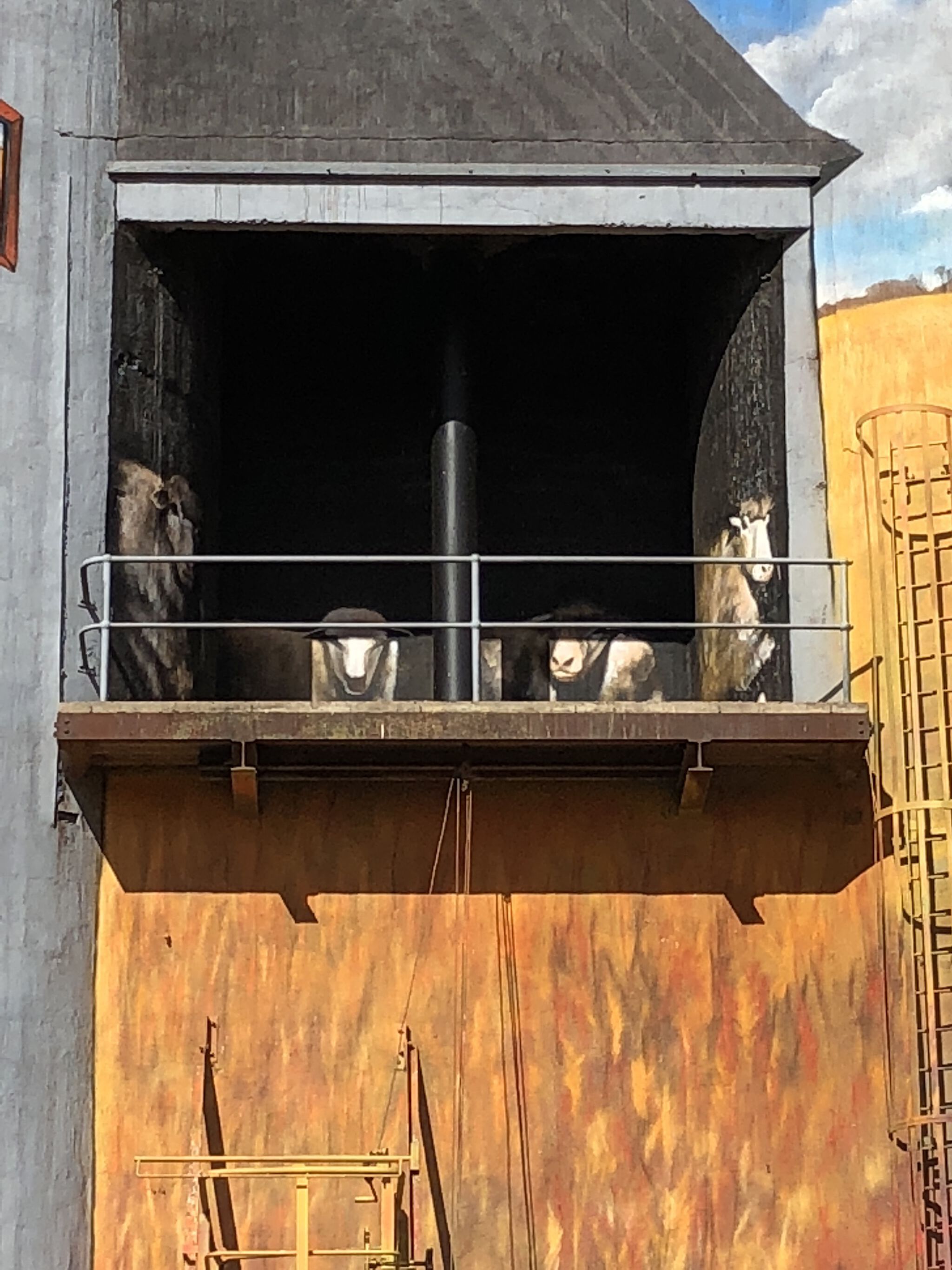 Heesco&mdash;Weethalle Silo Art