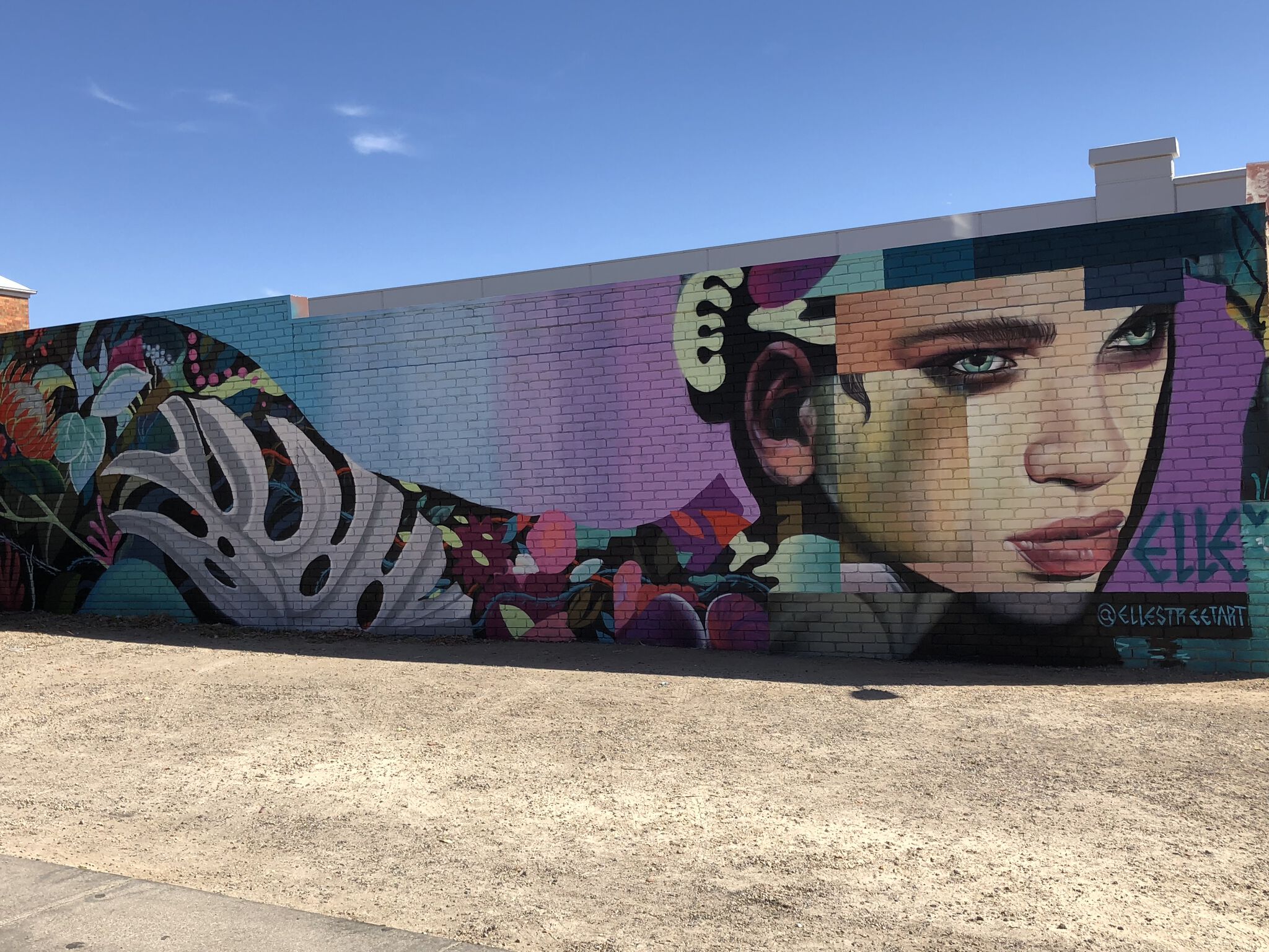 Elle Street Art&mdash;Blast It Not Plastic