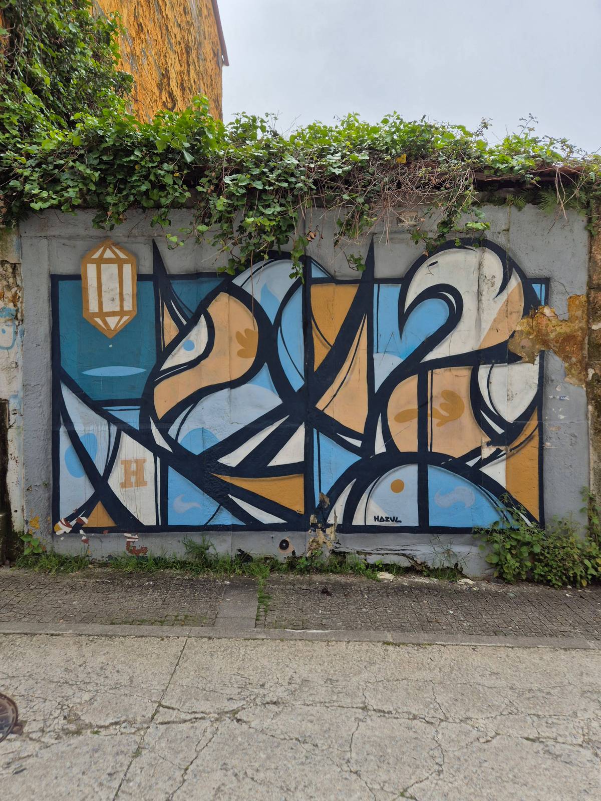 Hazul&mdash;undefined