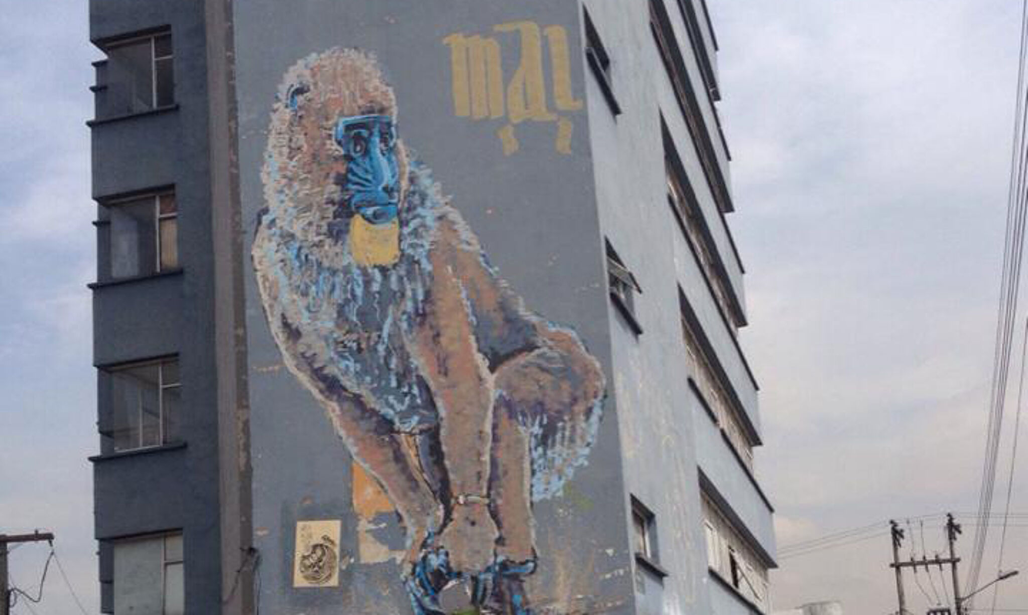 MAL Crew&mdash;Gorilla in building - Gorila en edificio