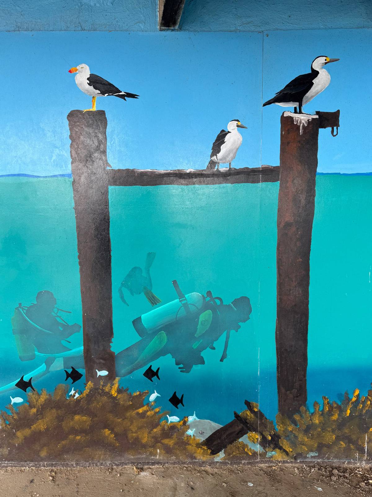 Darryl Lewis, Andrew Lewis&mdash;Edithburgh Tidal Pool Mural