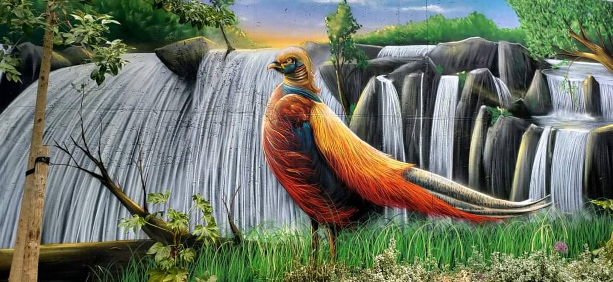 David Duits&mdash;"nature on walls"