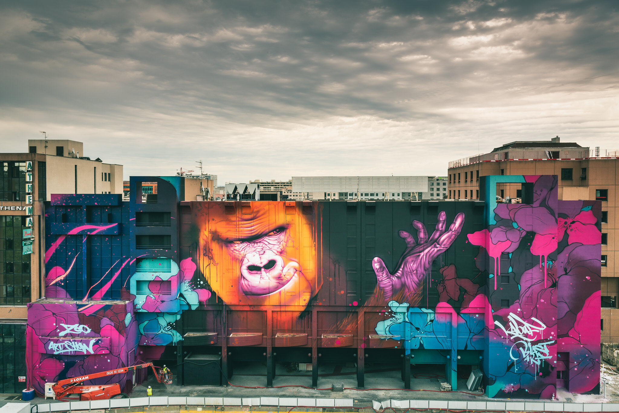 Kalouf&mdash;gorilla urbaine