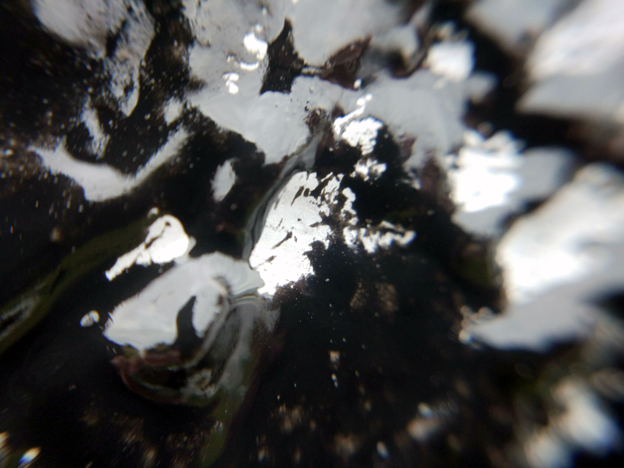 Mikhail Dremin (Mike Hyper)&mdash;Eye