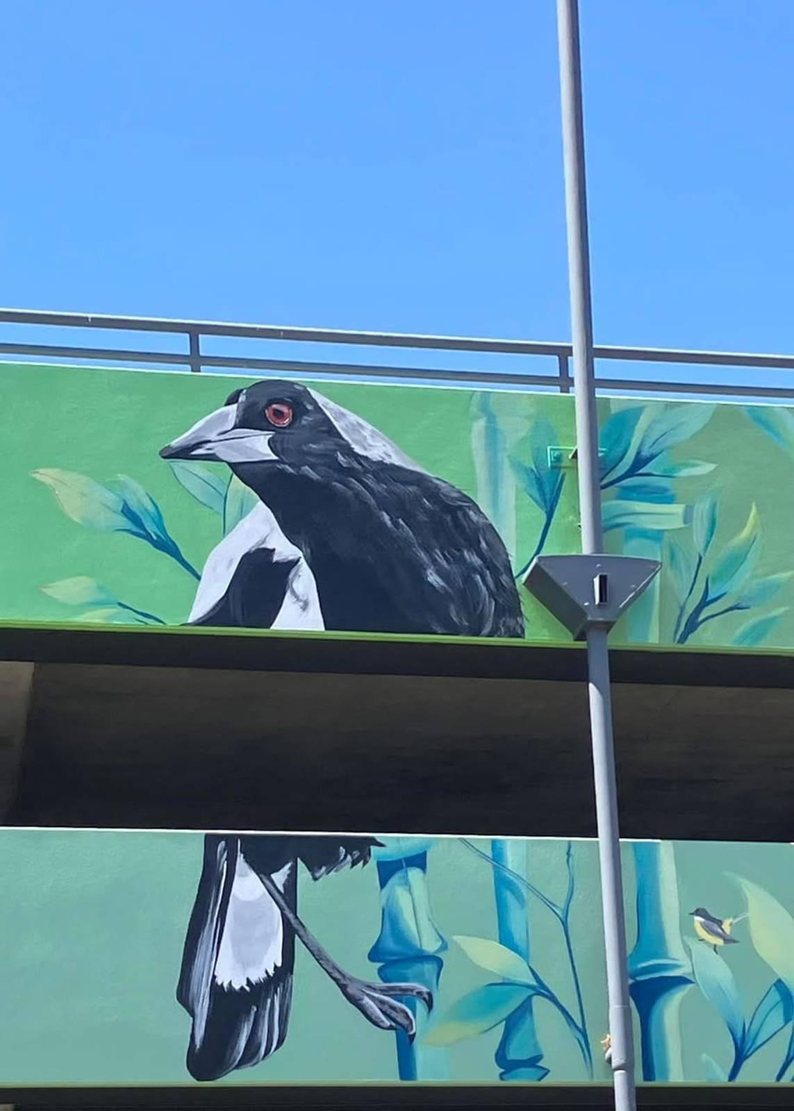 Jack Fran&mdash;Bird Park