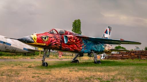 Eagle on Eagle