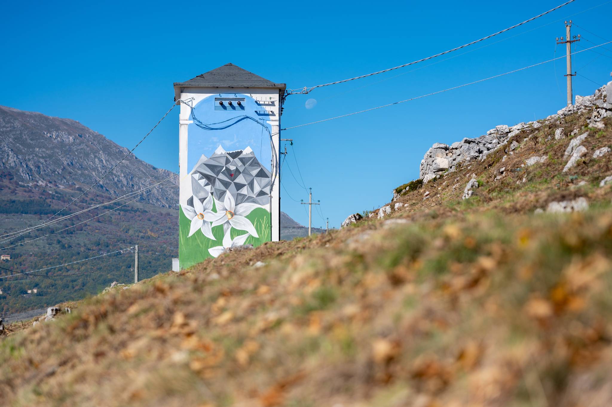 ASSOCIAZIONE SESSANTASETTEZEROCINQUANTUNO&mdash;Oikoumene  (Terra di Mezzo, la casa dove tutti viviamo)