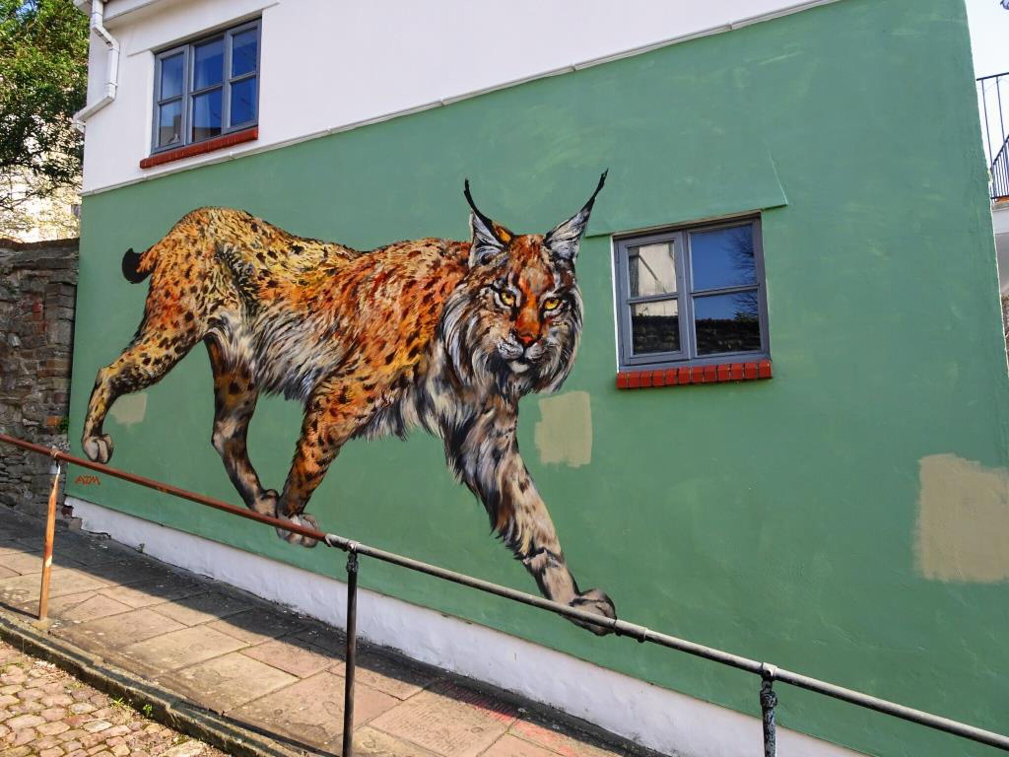 ATM&mdash;Lynx