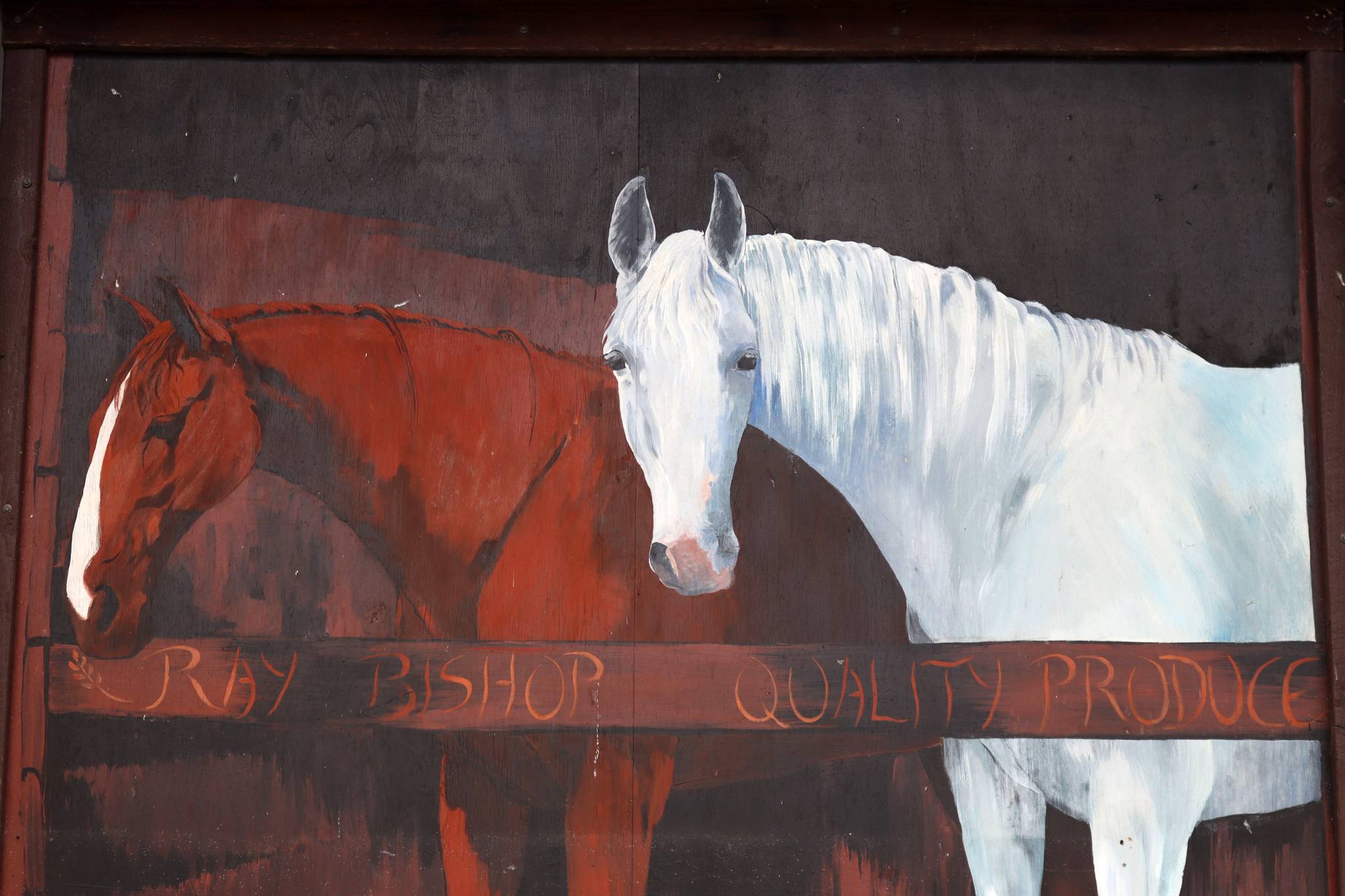 Unknown - Nowra&mdash;El Horses