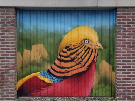 Pheasant and golden pheasant