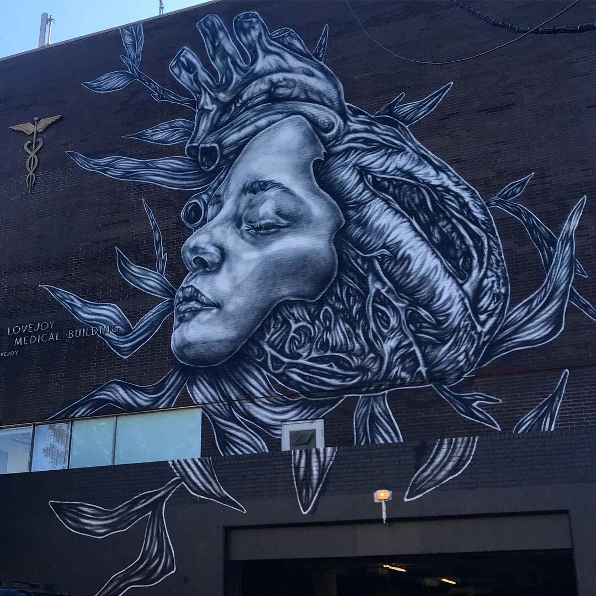 Paola Delfin&mdash;Soul
