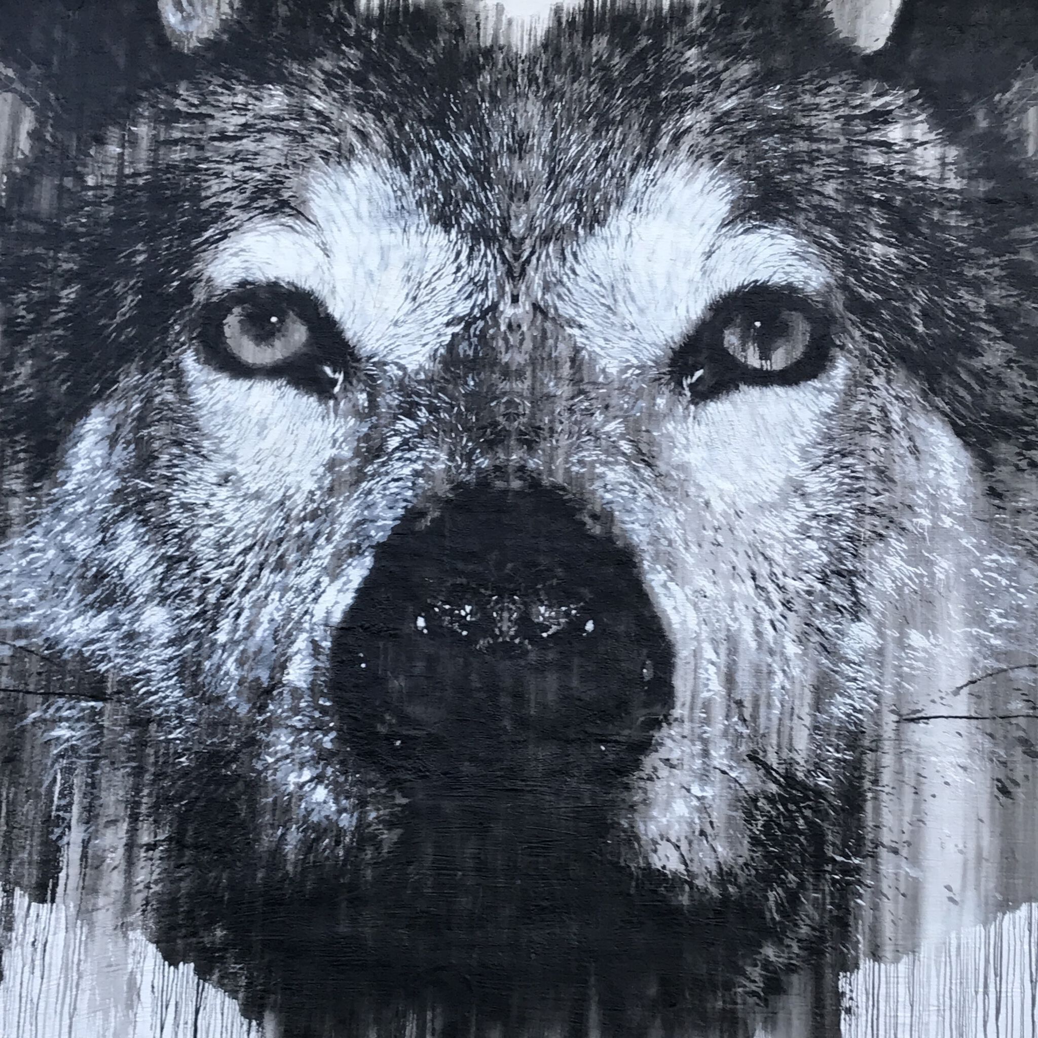 Jussi TwoSeven&mdash;The Grey Wolf