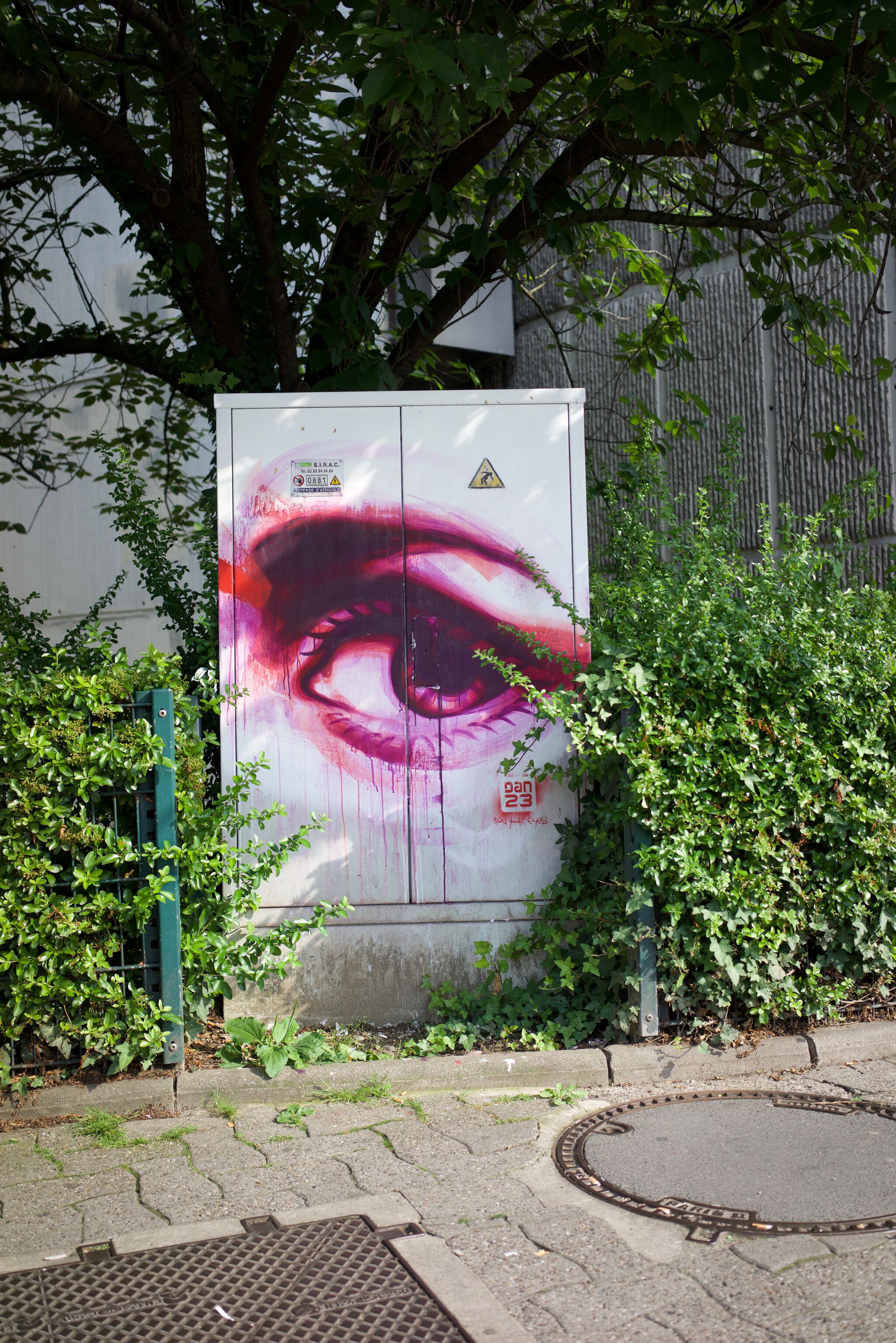 Dan23&mdash;Open your eye