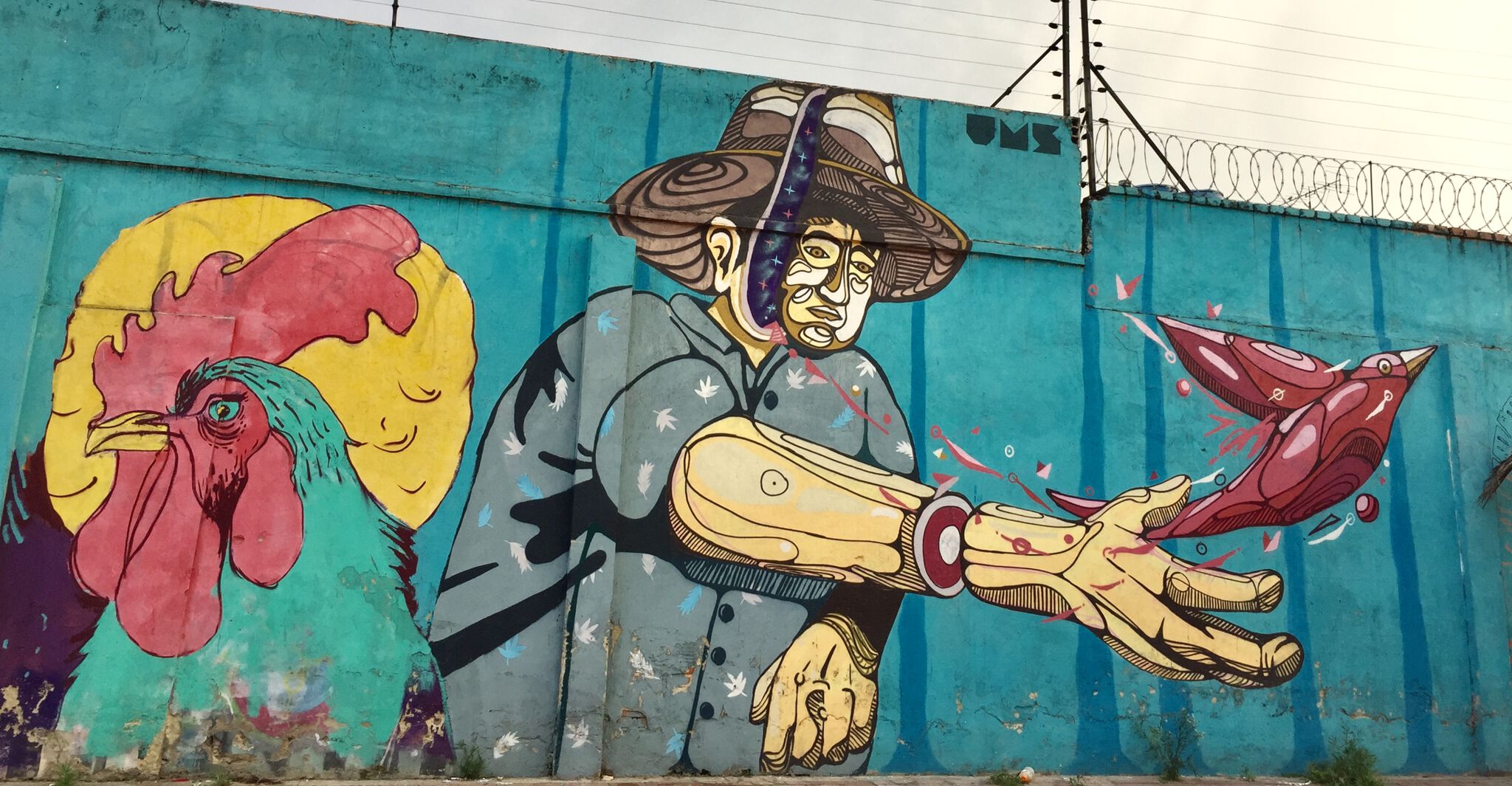 Unknown - Bogota&mdash;Bird / Pájaro