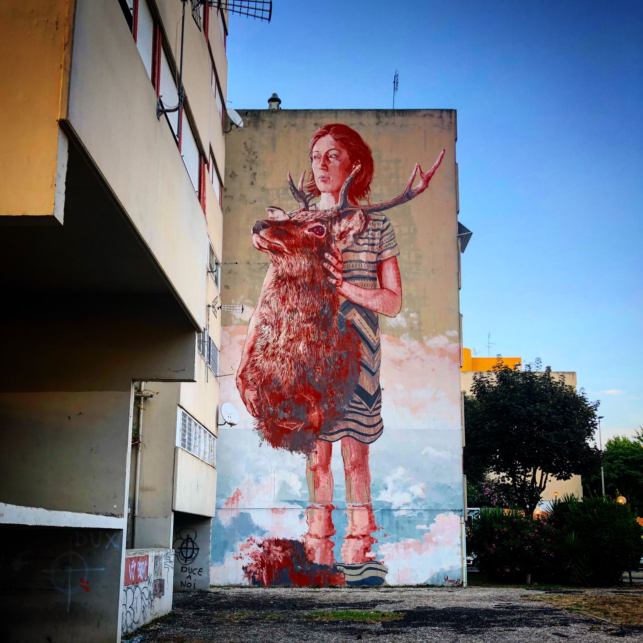 Fintan Magee&mdash;The Roadkill