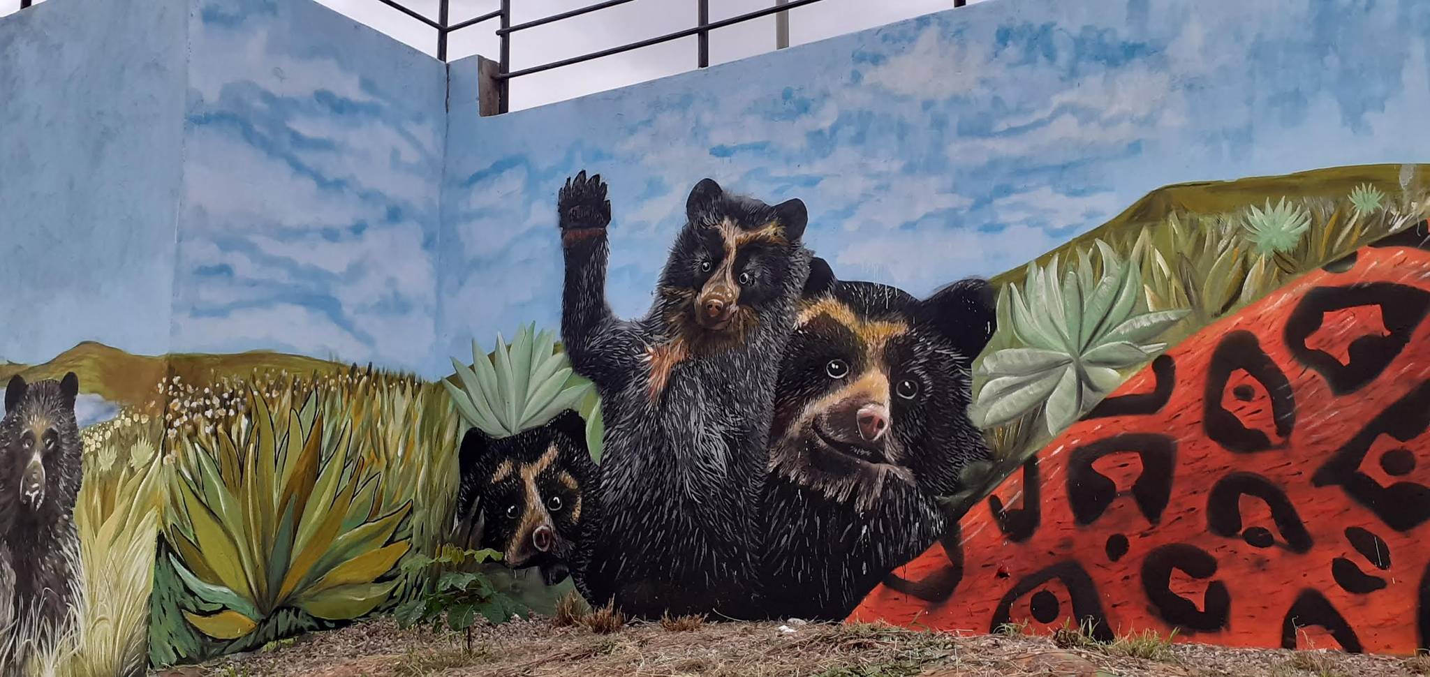 Vicdarina, Jesús Parra, Esquema Colectivo&mdash;Jaguar y Oso de anteojos