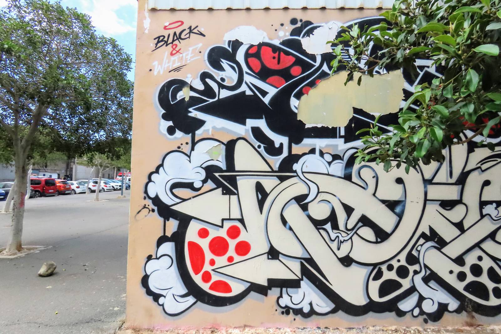 Saker&mdash;Black and White