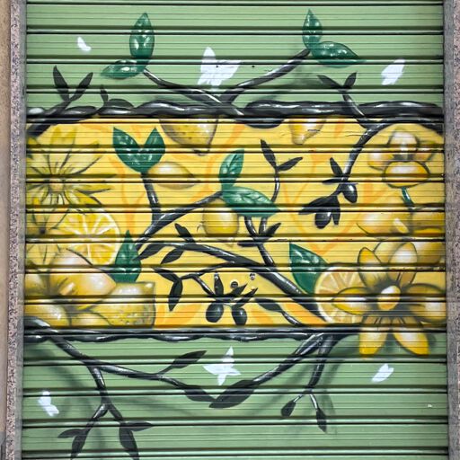 Flora