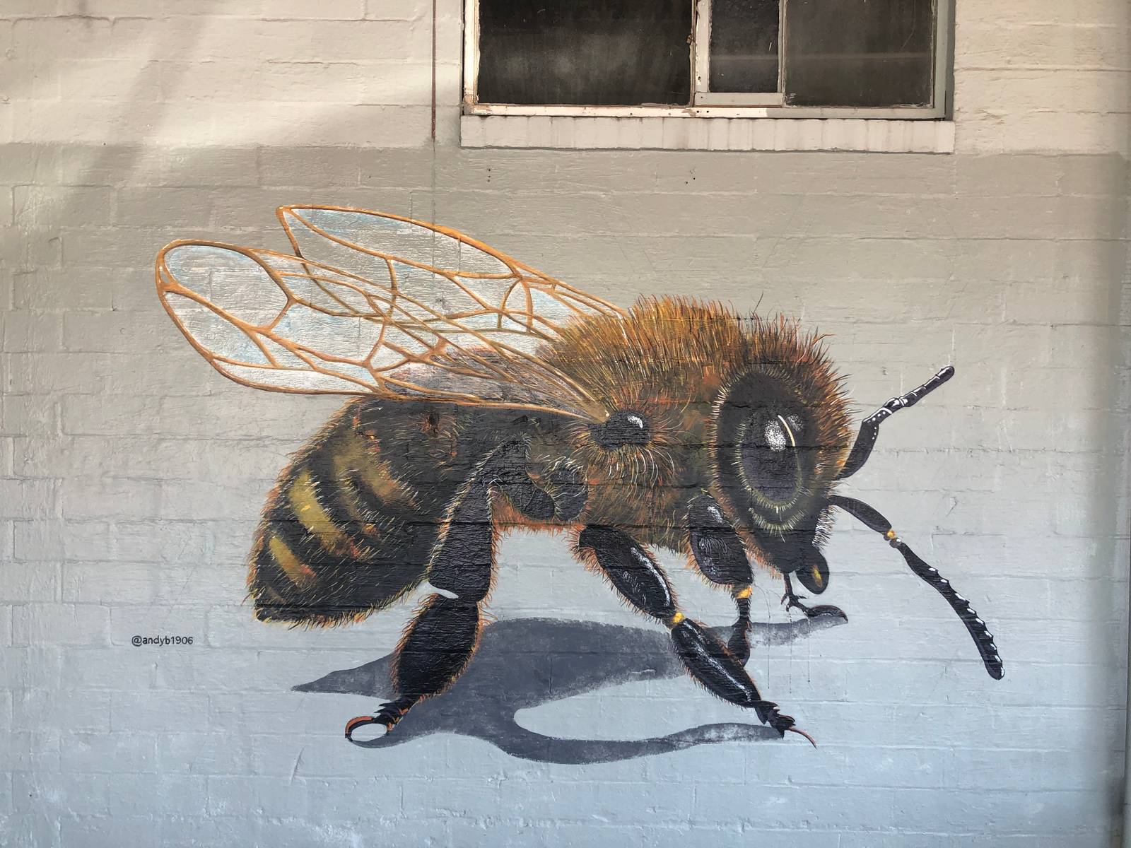 Andy Benavides&mdash;Bee
