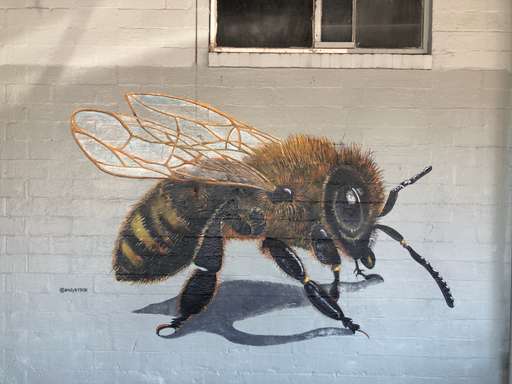 Bee