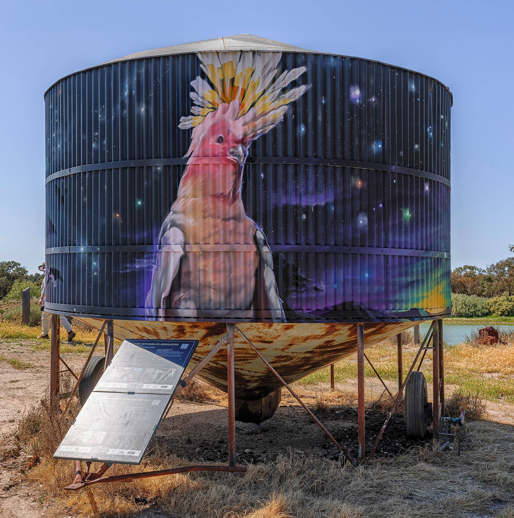 Bryan Itch, Chuck Mayfield&mdash;South-eastern Long-Eared Bat and Major Mitchell’s Cockatoo