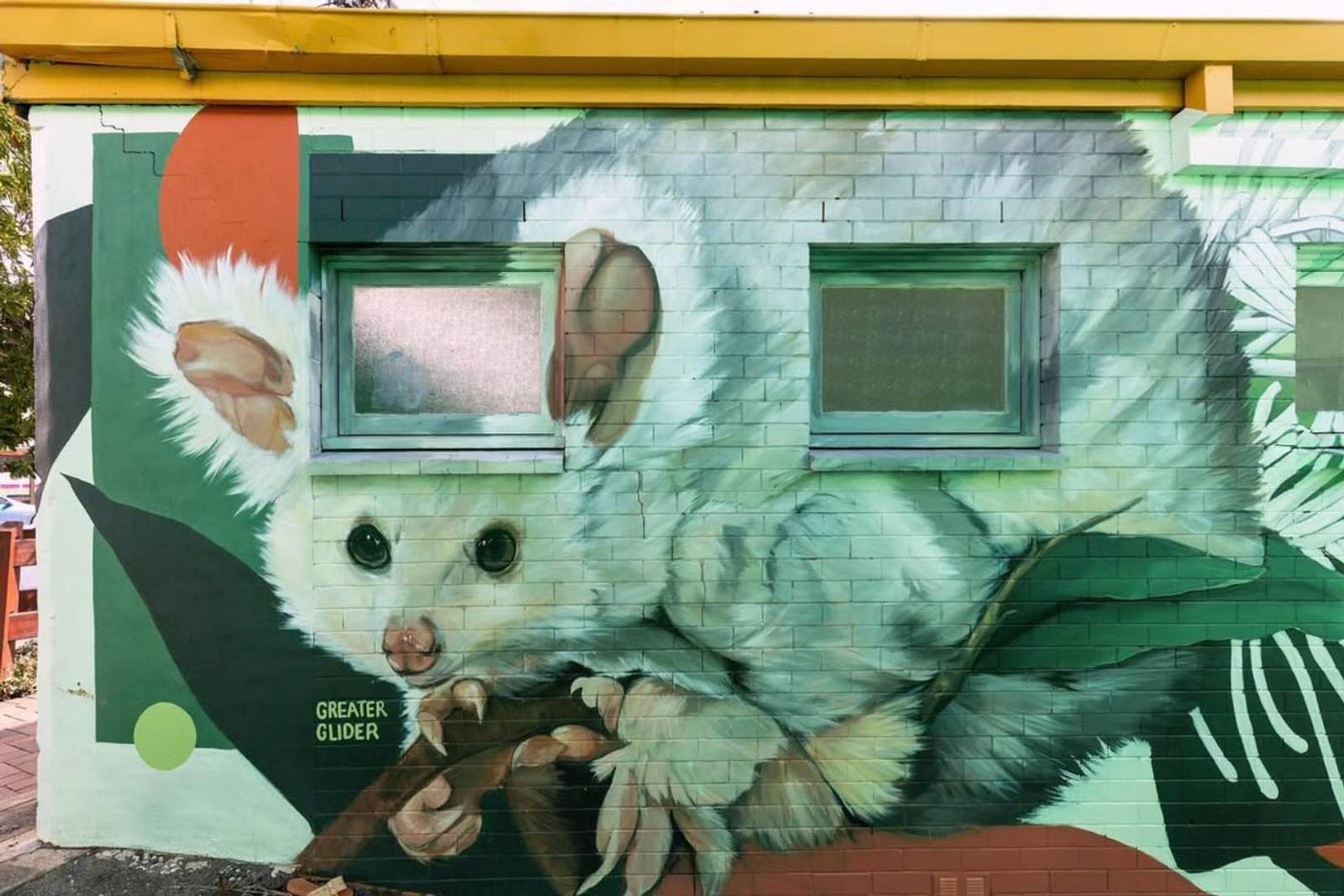 Ash Taylor&mdash;Beaudesert Gliders