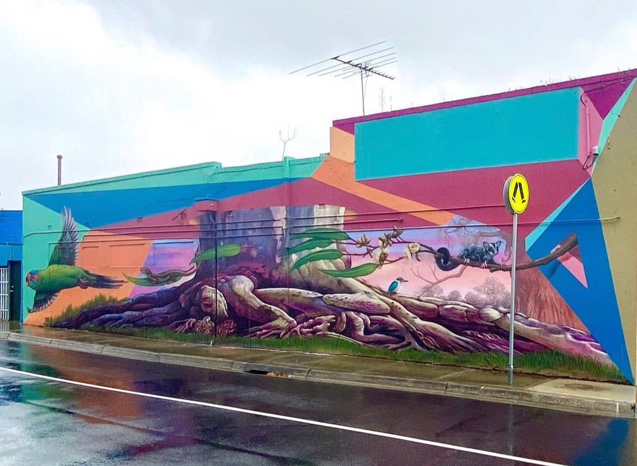 Hayden Dewar&mdash;Roots