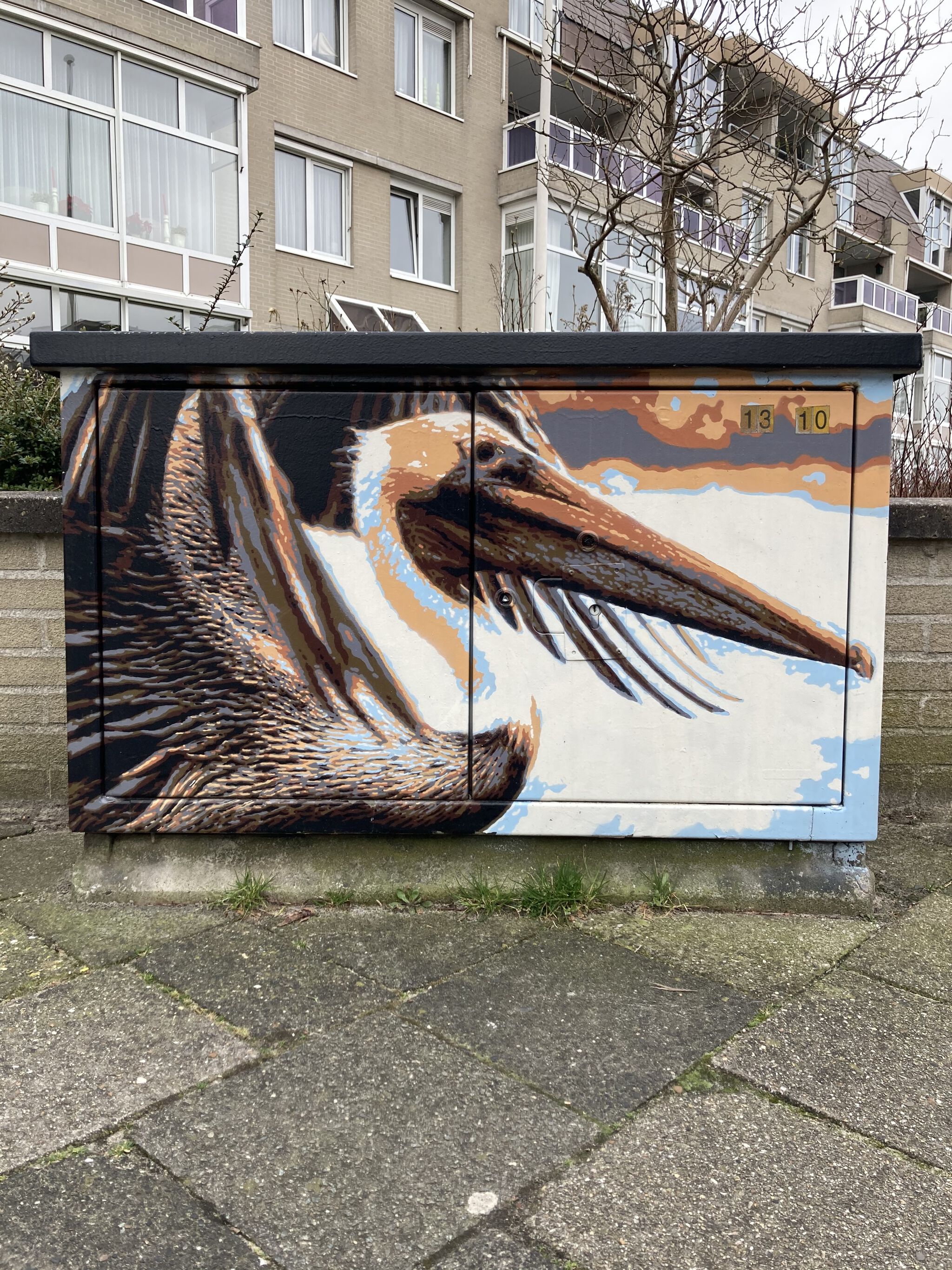 Roy Schreuder&mdash;Pelikaan