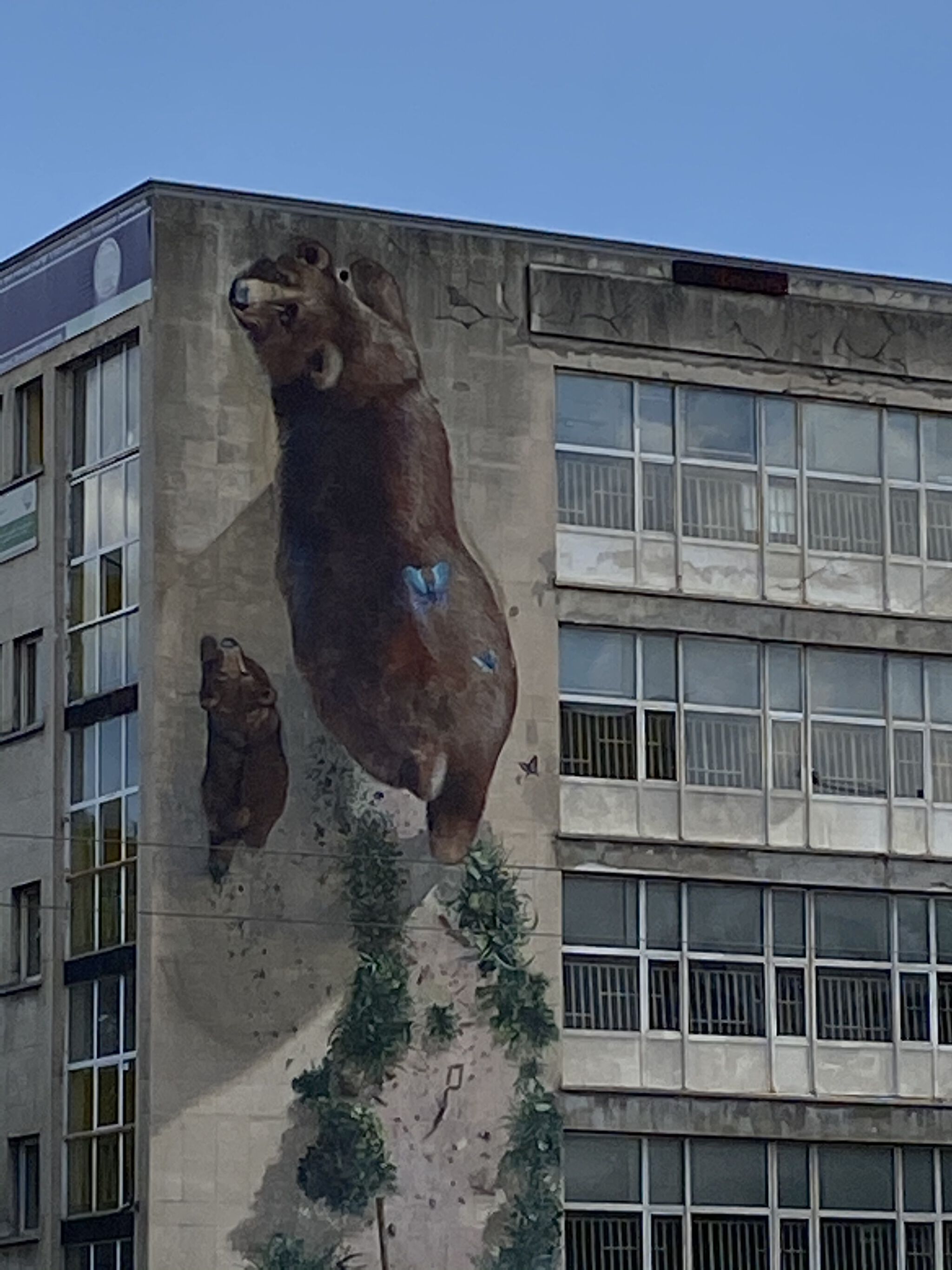 140ideas&mdash;Love the brown bear