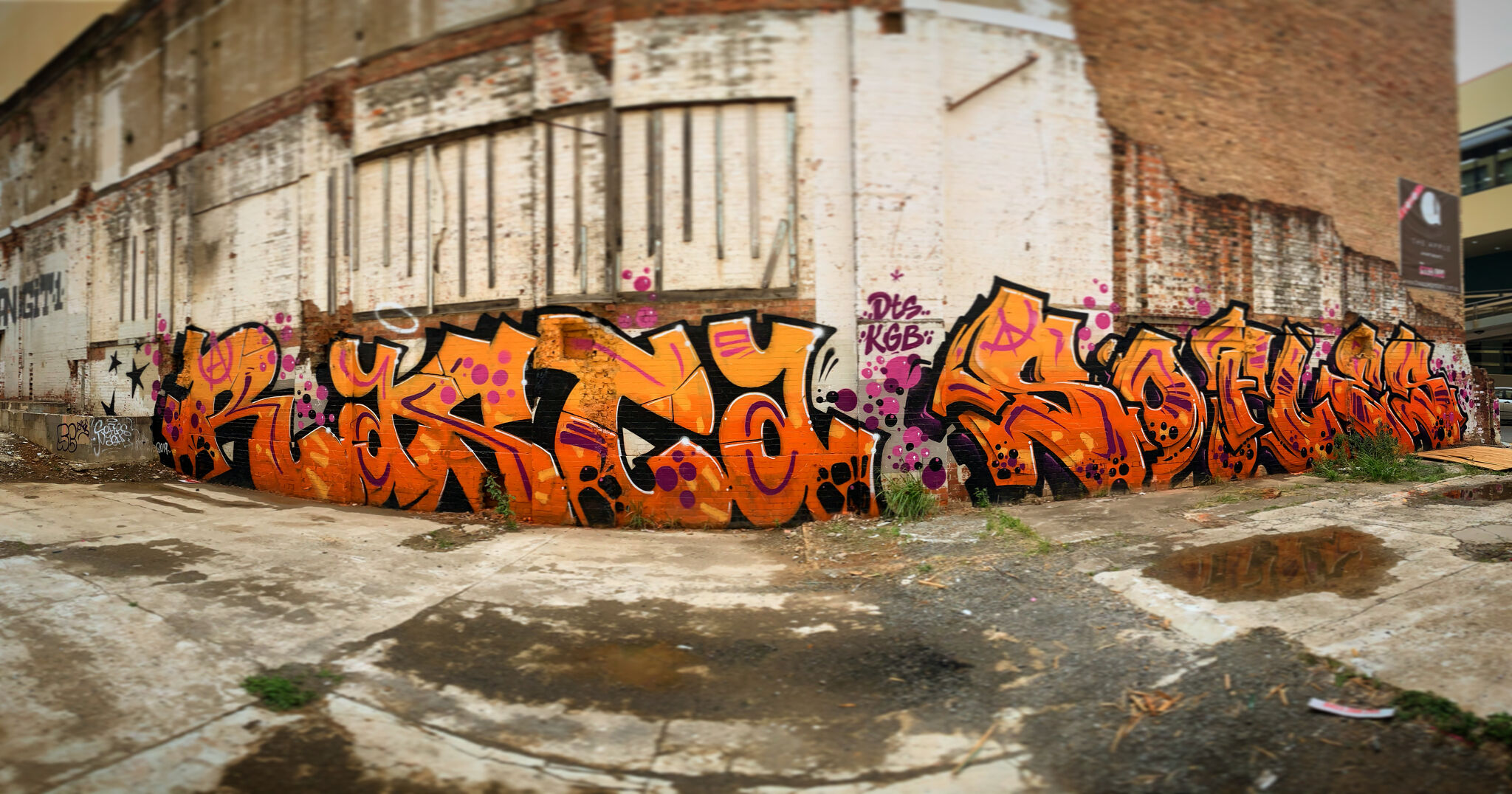 Rasta, Sofles&mdash;Untitled